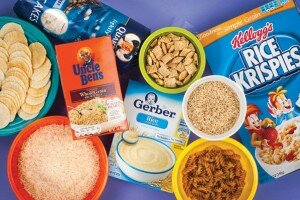 Arsenic in rice products Arsenic in food products