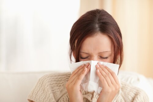 Dust mite allergies cleaning for dust mites